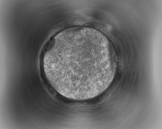 X0000093500626200711091703