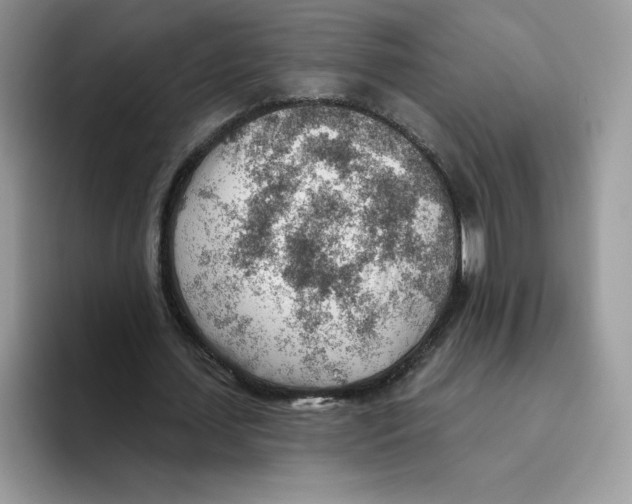 X0000093500627200711091703