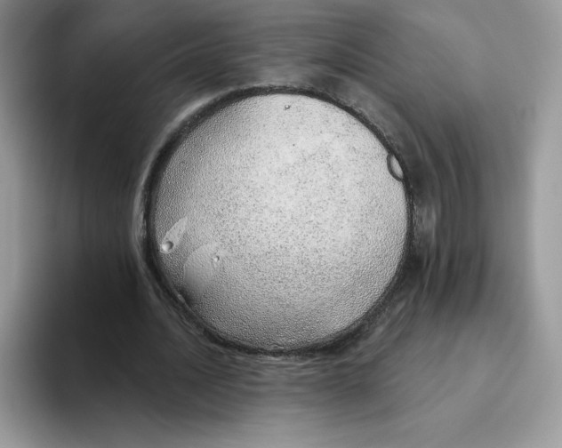 X0000093500628200711091703