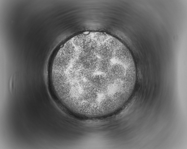 X0000093500630200711091704