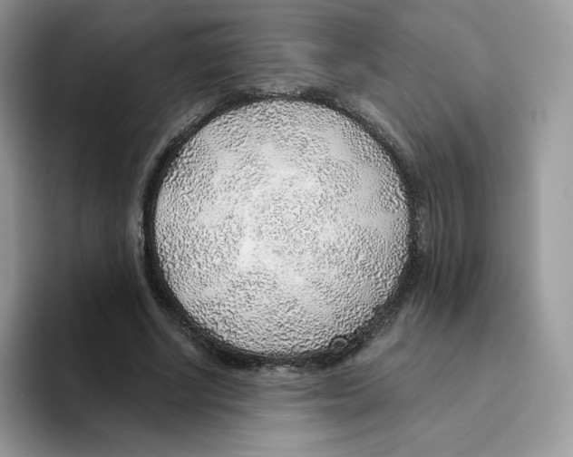 X0000093500634200711091704