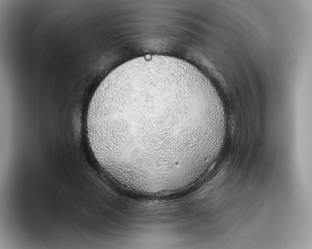 X0000093500637200711091704