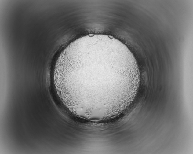 X0000093500638200711091704