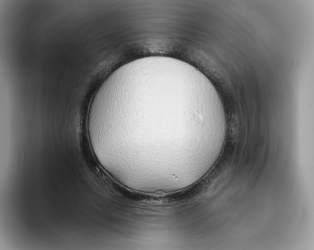 X0000093500639200711091704