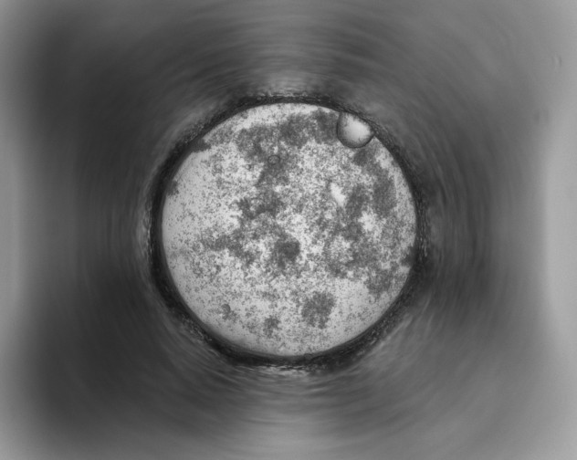 X0000093500640200711091704