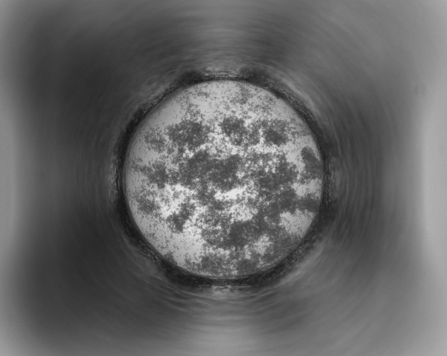 X0000093500641200711091704