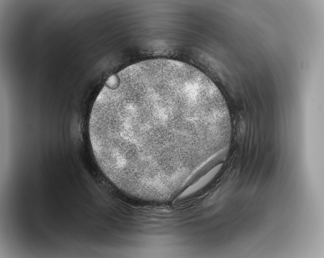 X0000093500643200711091704