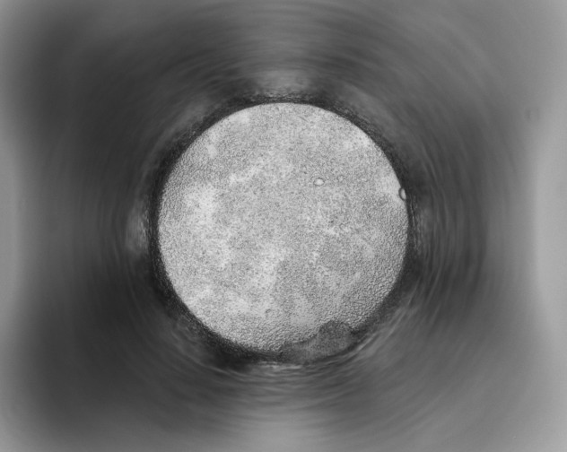 X0000093500644200711091704