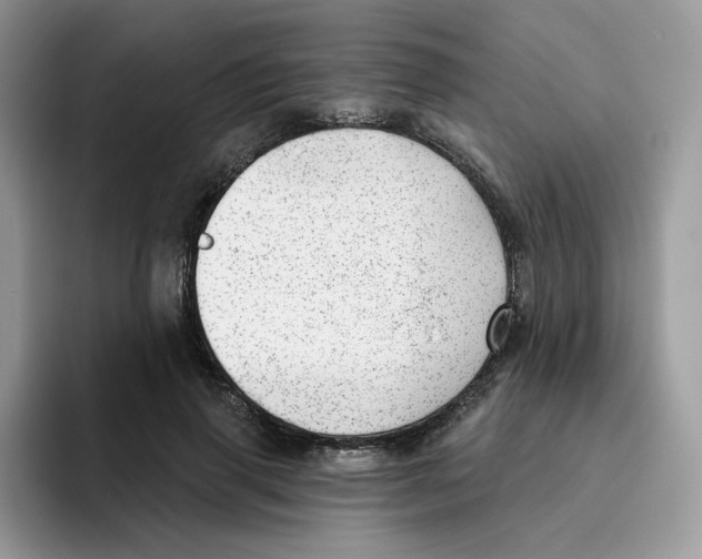 X0000093500645200711091704