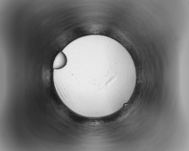 X0000093500646200711091704