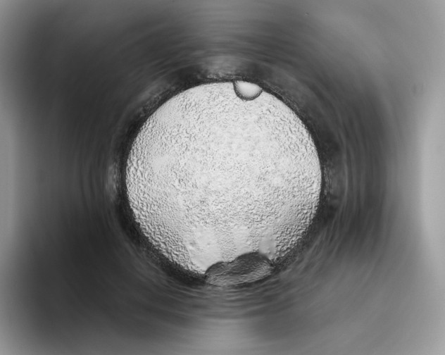 X0000093500648200711091704