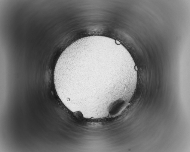 X0000093500649200711091704