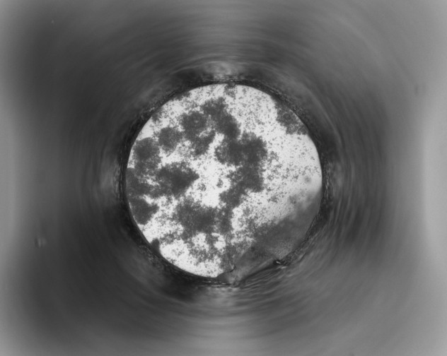 X0000093500650200711091704