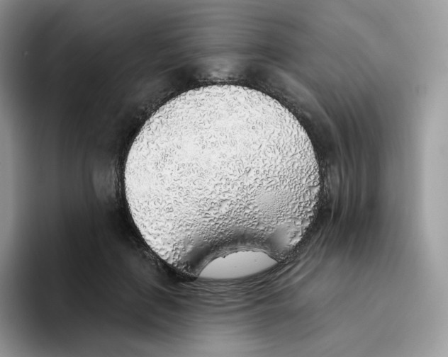 X0000093500651200711091704