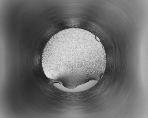 X0000093500652200711091704