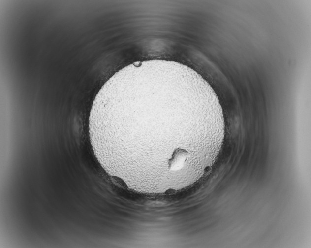 X0000093500653200711091704