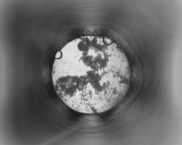 X0000093500659200711091704