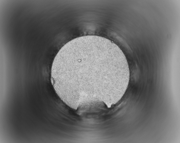 X0000093500661200711091704