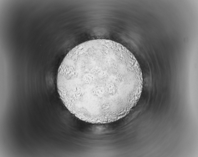 X0000093500662200711091704