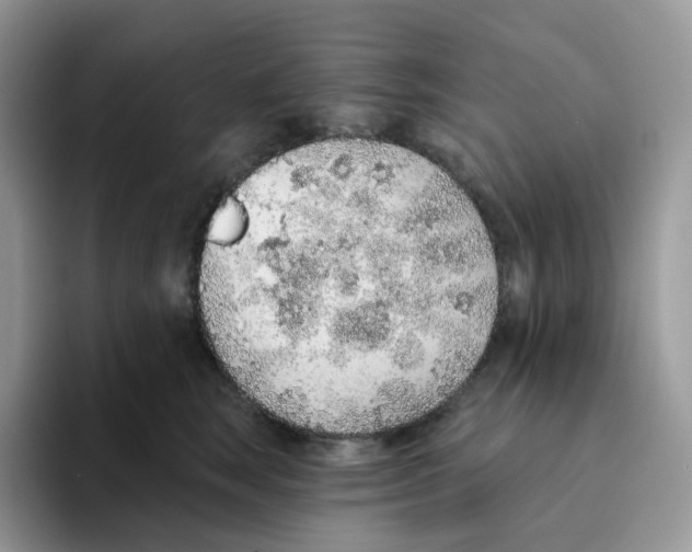 X0000093500663200711091704