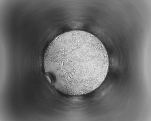 X0000093500664200711091704