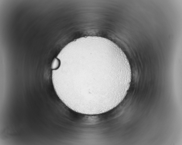 X0000093500665200711091704