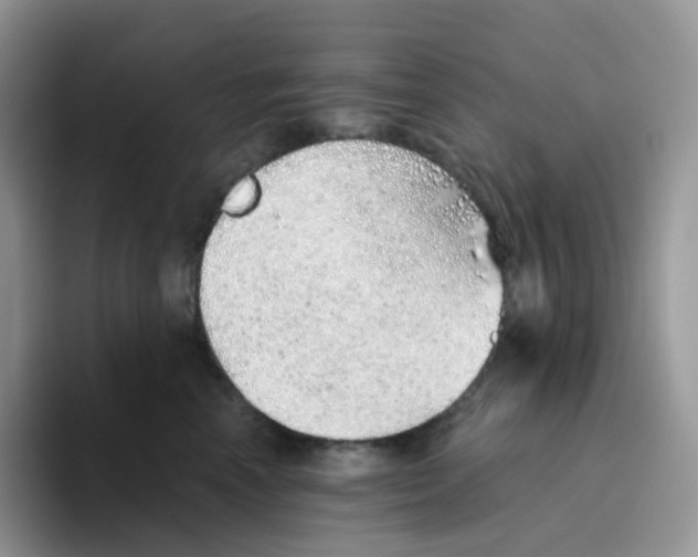 X0000093500666200711091704