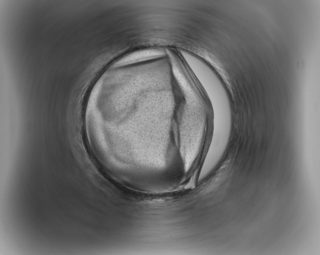 X0000093500673200711091703