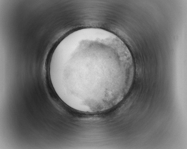 X0000093500674200711091703