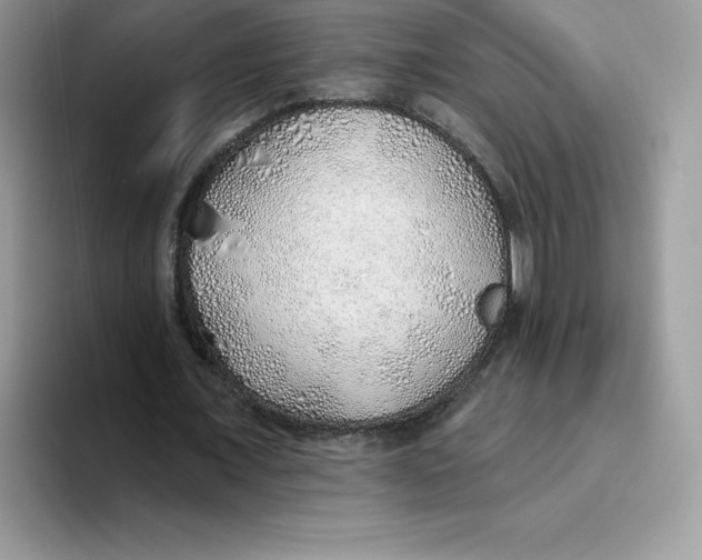 X0000093500675200711091703