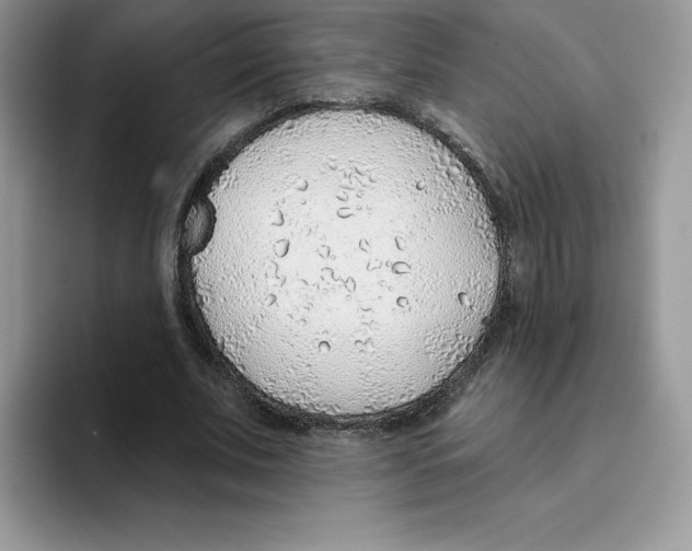 X0000093500679200711091703