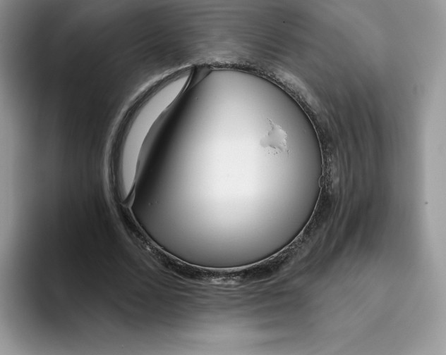 X0000093500680200711091703