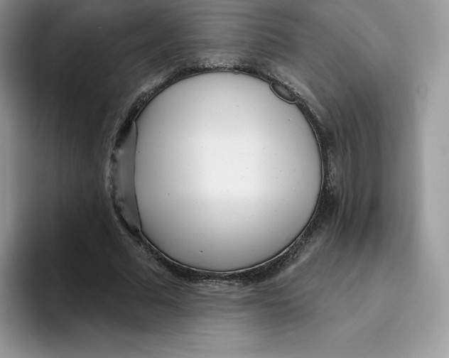 X0000093500681200711091703