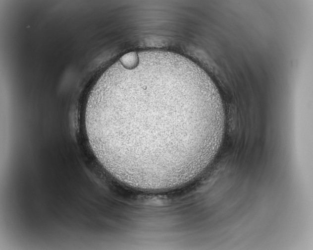 X0000093500683200711091703