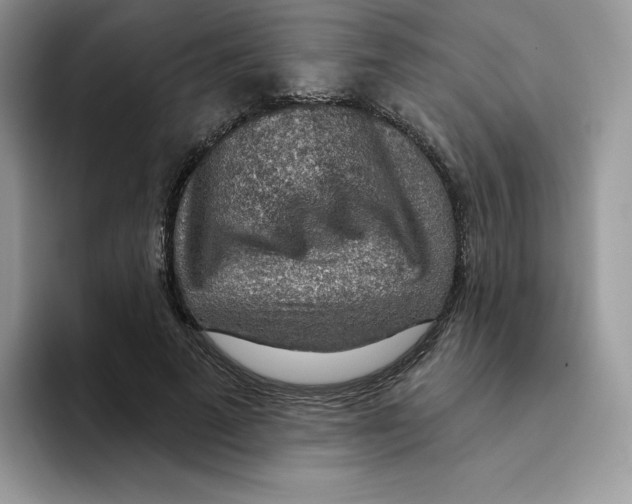 X0000093500689200711091703