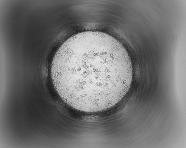 X0000093500691200711091703