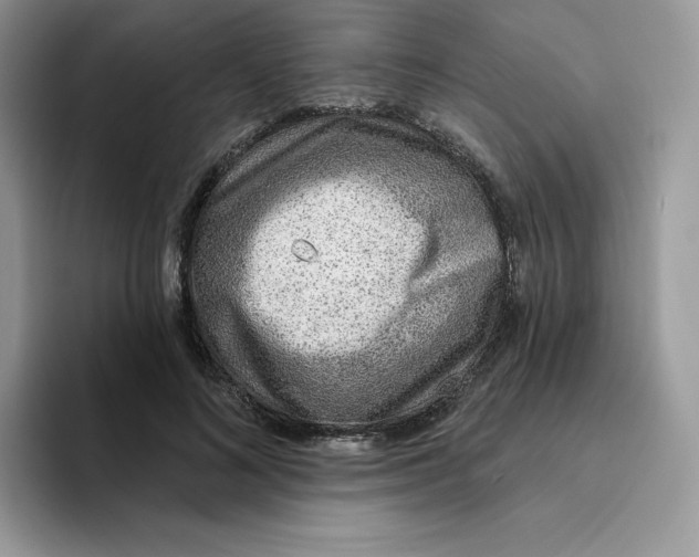 X0000093500692200711091703