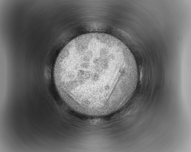 X0000093500695200711091703