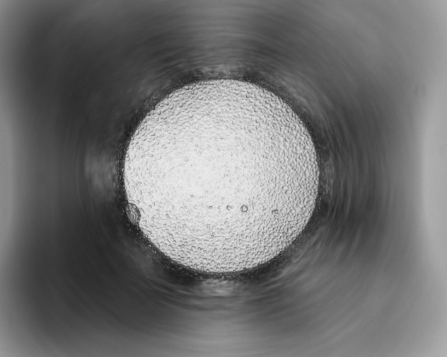 X0000093500699200711091703