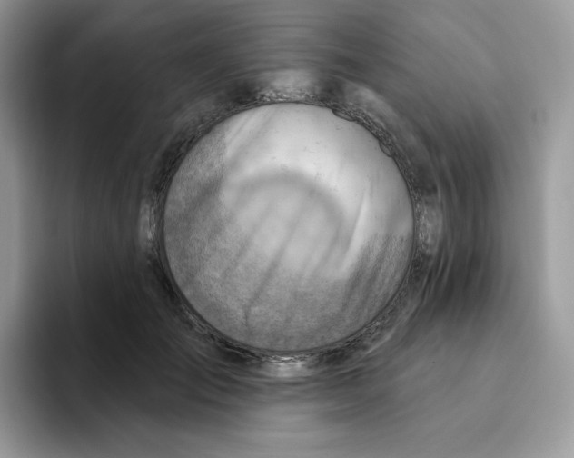 X0000093500701200711091703