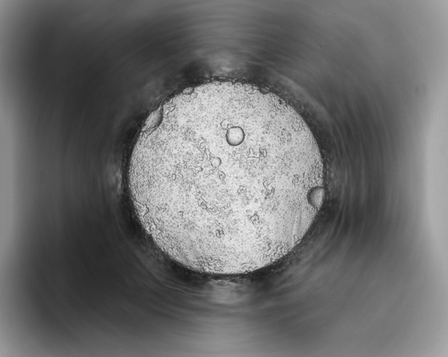 X0000093500703200711091703