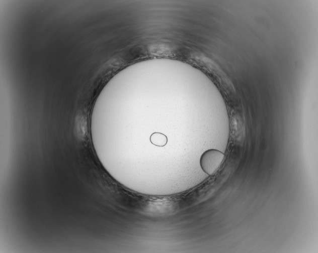 X0000093500705200711091703