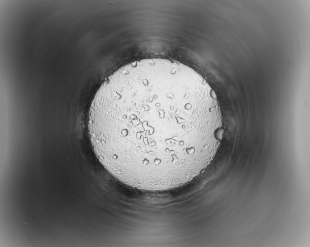 X0000093500707200711091703