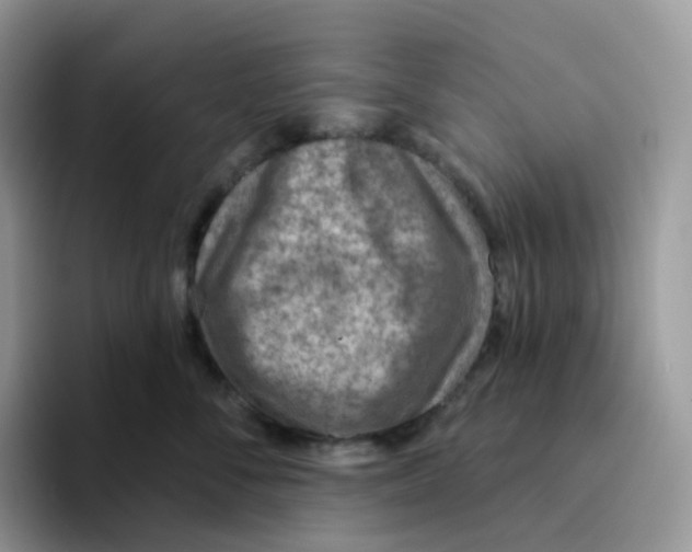 X0000093500716200711091703