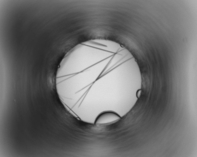 X0000093500718200711091703