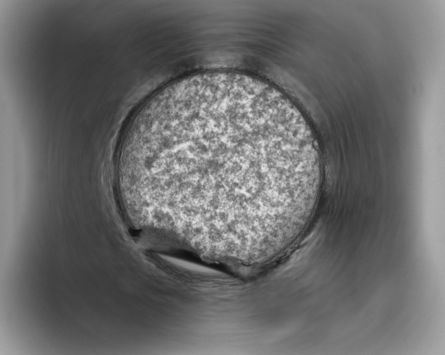 X0000093500721200711091702