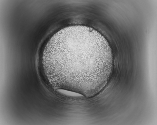 X0000093500722200711091702