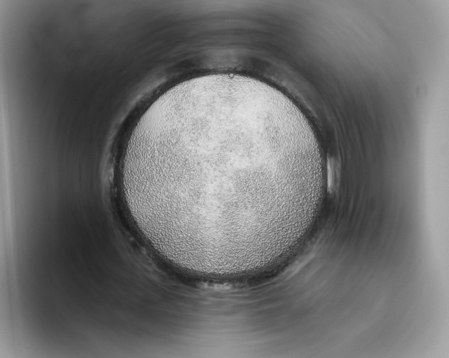 X0000093500723200711091702