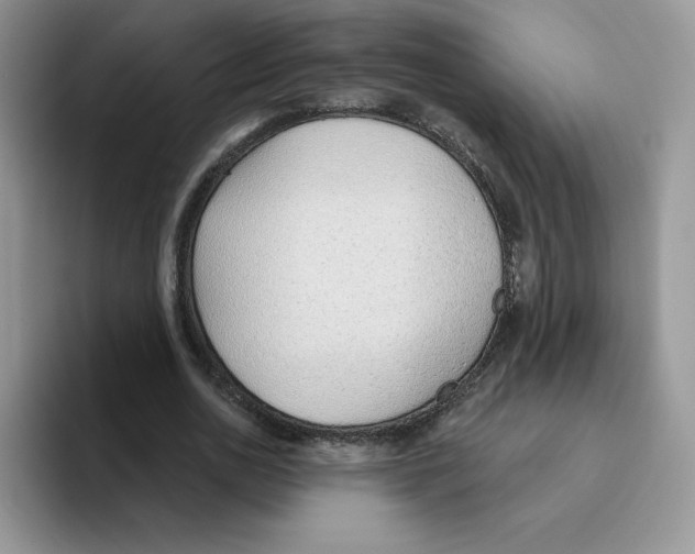 X0000093500726200711091702