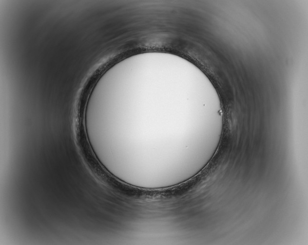 X0000093500728200711091702